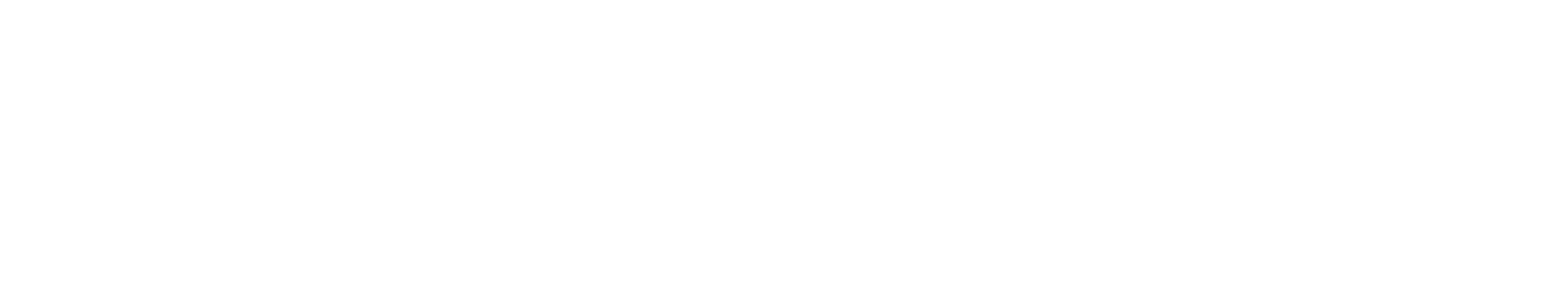 Dakota King logo
